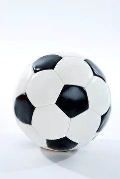 扫码下载二维码